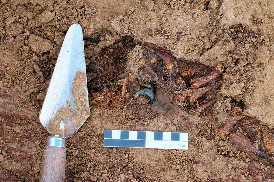 Фото: ЦСН Амурской области / VK