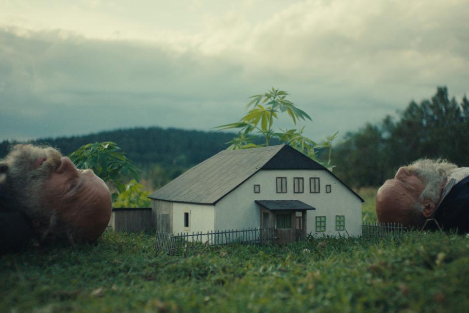 Кадр из фильма «Лучше свихнуться в дремучем лесу»