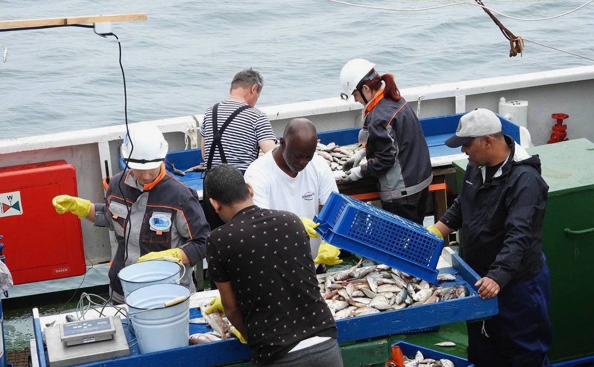 Объединенная пресс-служба Росрыболовства