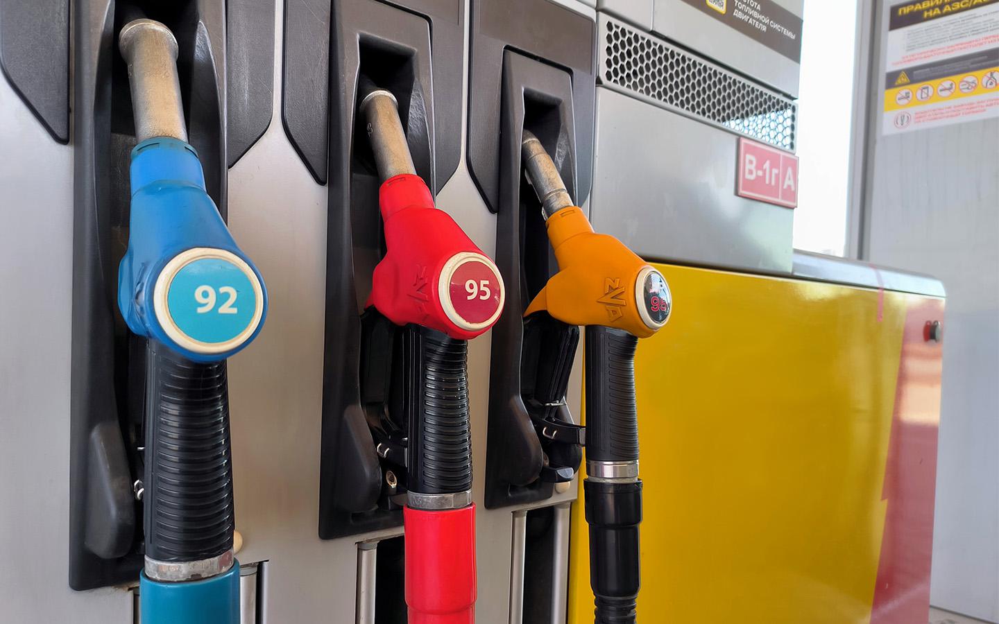 Фото: Maksim Konstantinov / Global Look Press