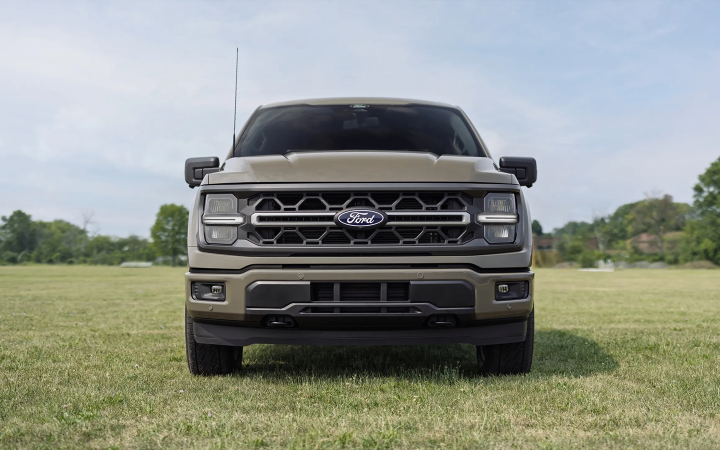 Фото: Ford 