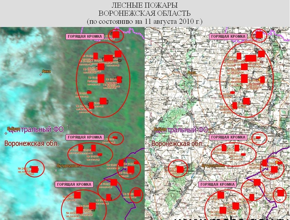 Карта лесных пожаров наса