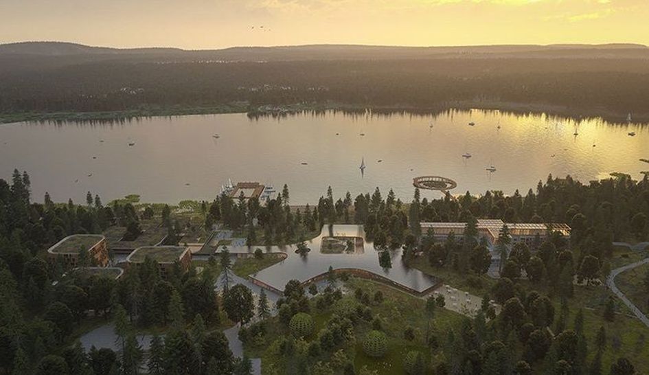 Голландцы построят деревянный кампус школы менеджмента в России