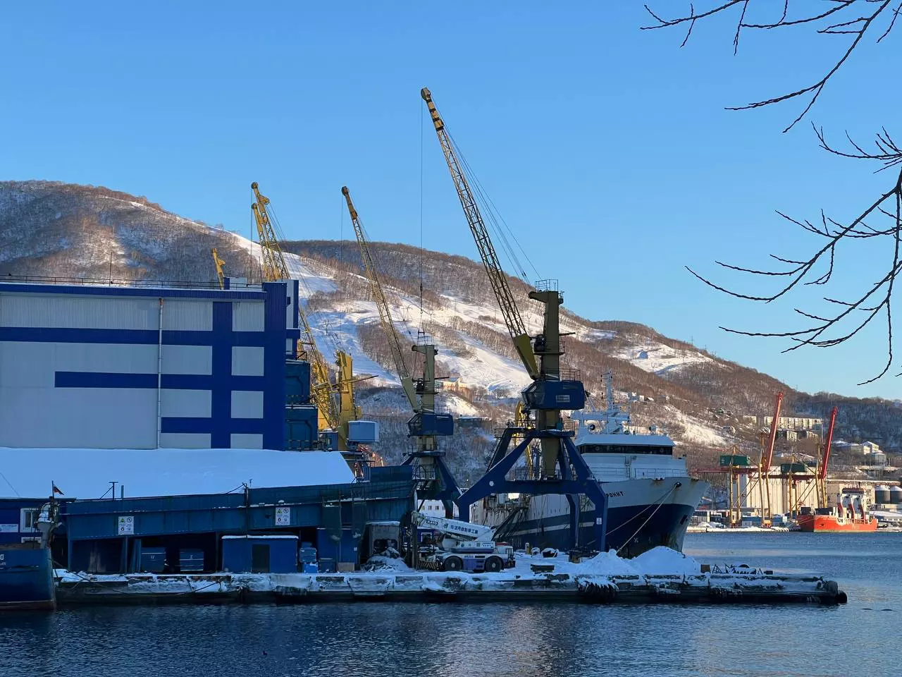 РБК Приморье