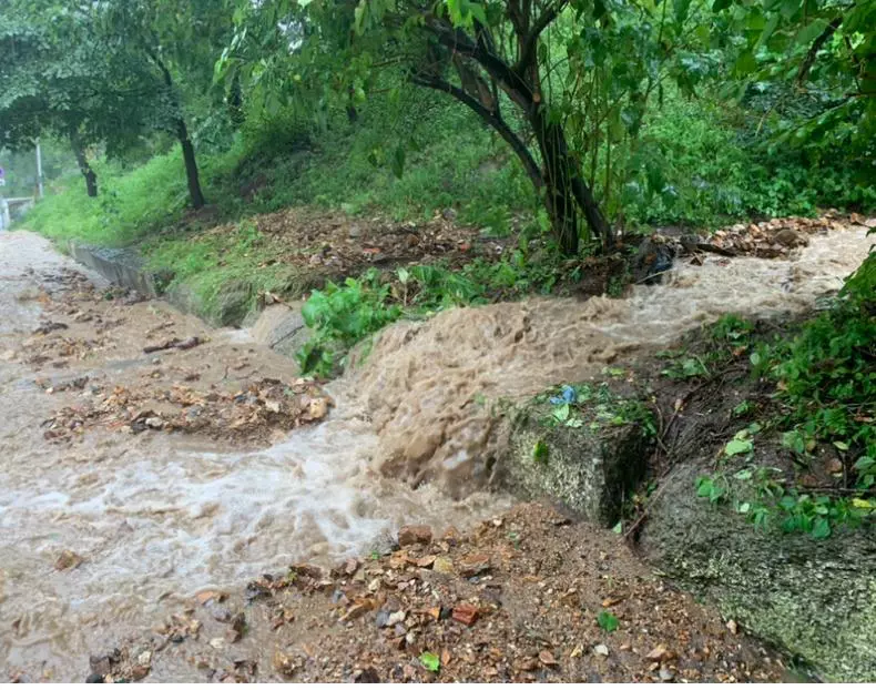 РБК Приморье