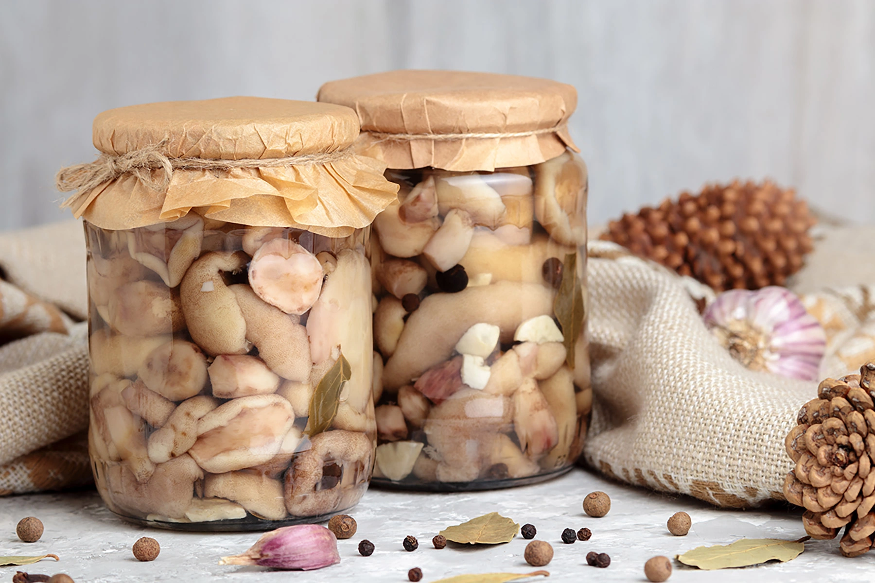 Как мариновать маслята: рецепт домашних консервированных грибов на зиму