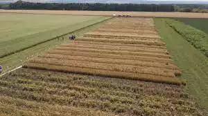 пресс-служба правительства РБ