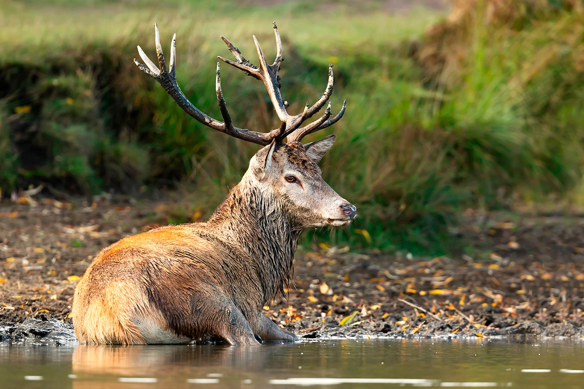 Giedriius / Shutterstock / FOTODOM