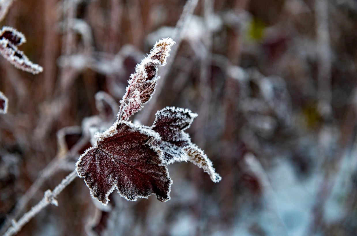 Сергей Русанов / РИА URA.RU