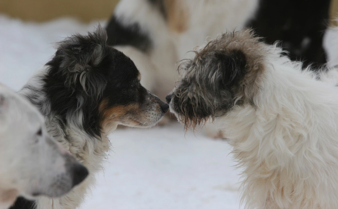 Александр Лыскин / Global Look Press