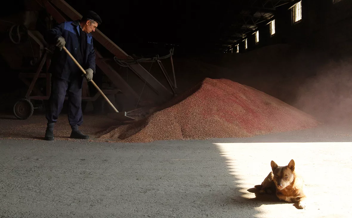 Эдуард Корниенко / Reuters