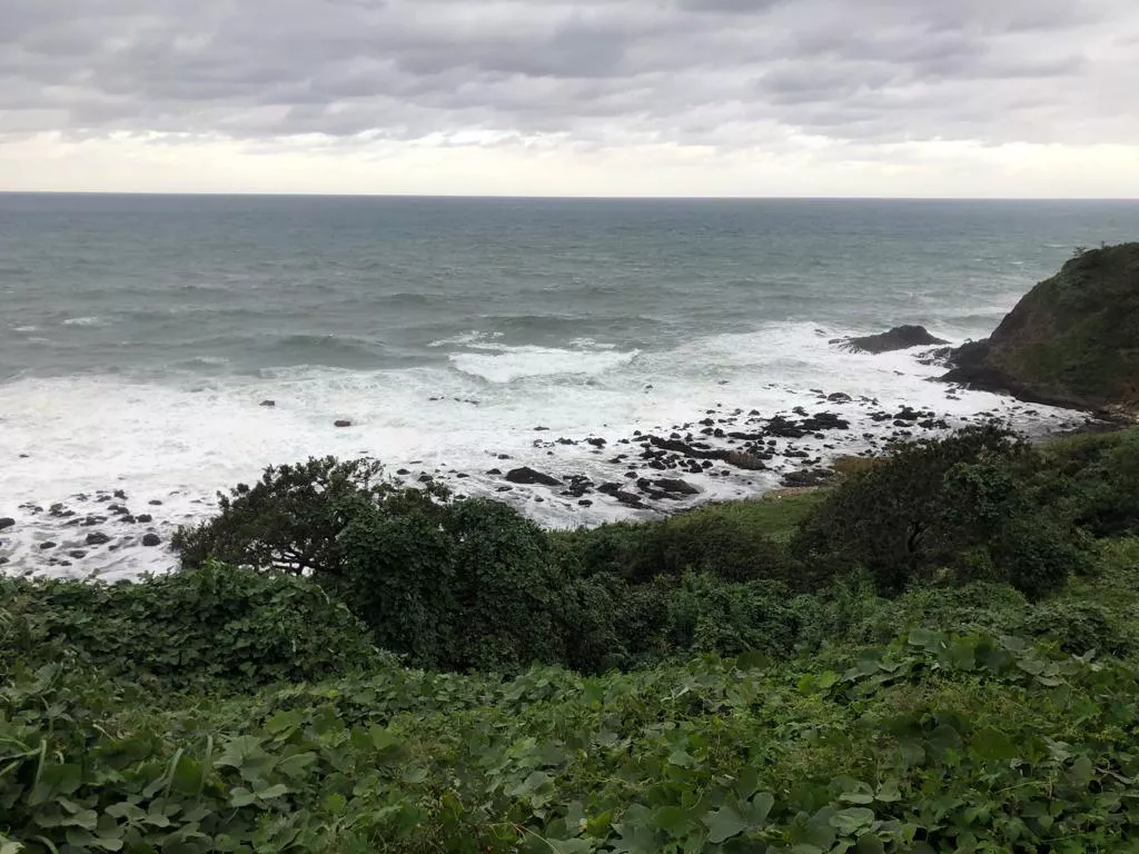 РБК Приморье