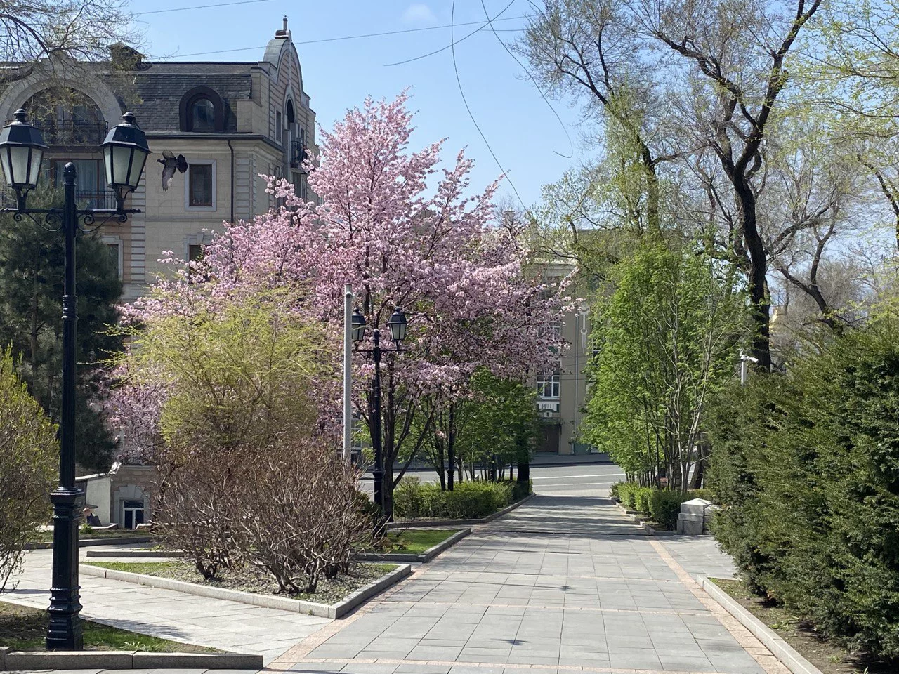 РБК Приморье