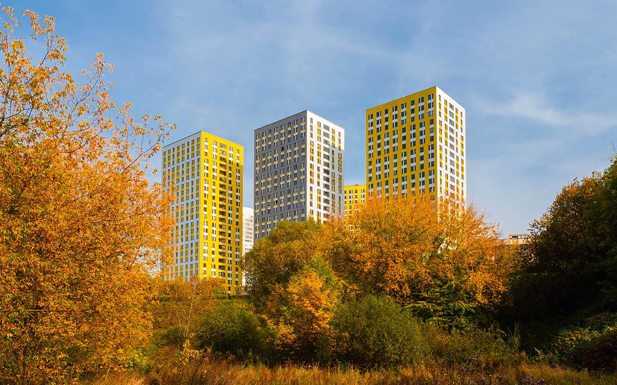 Фото: Stanislav71 / Shutterstock / FOTODOM