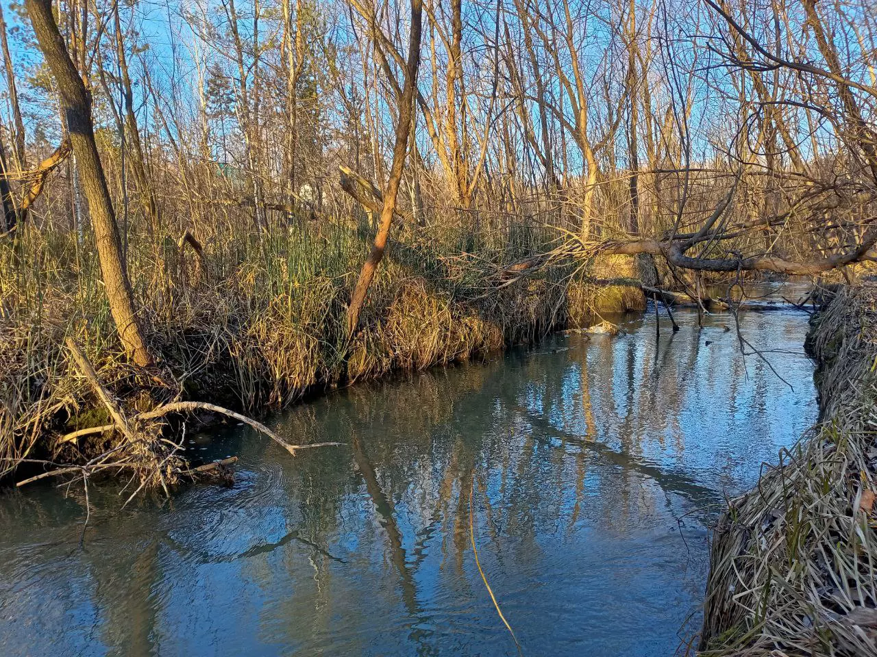 РБК Новосибирск