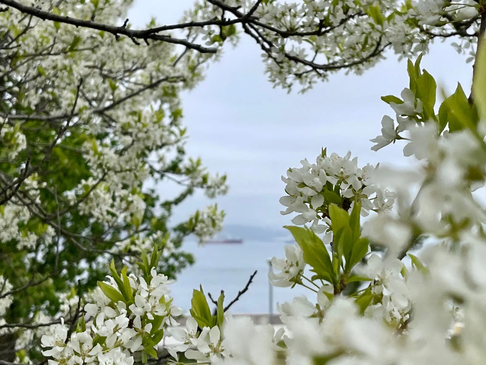 РБК Приморье