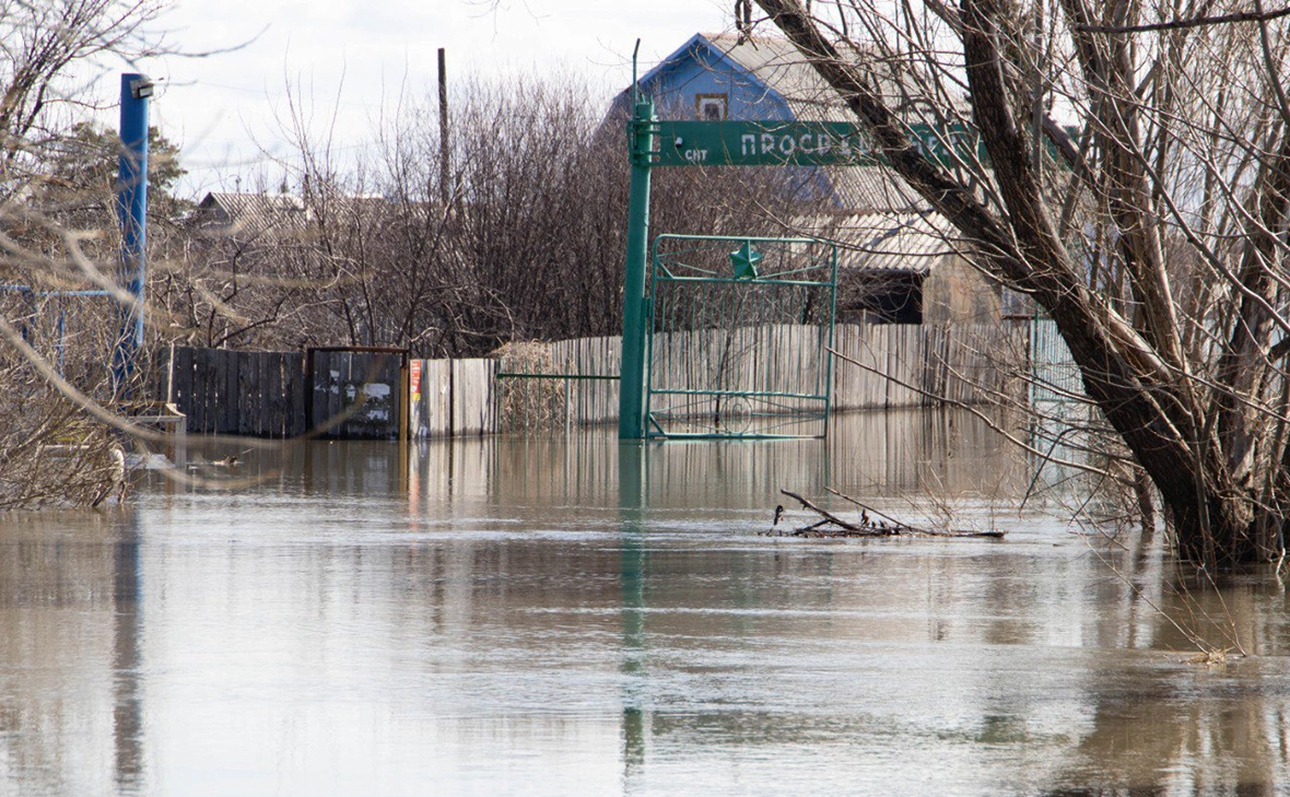 kurgancityru / Telegram
