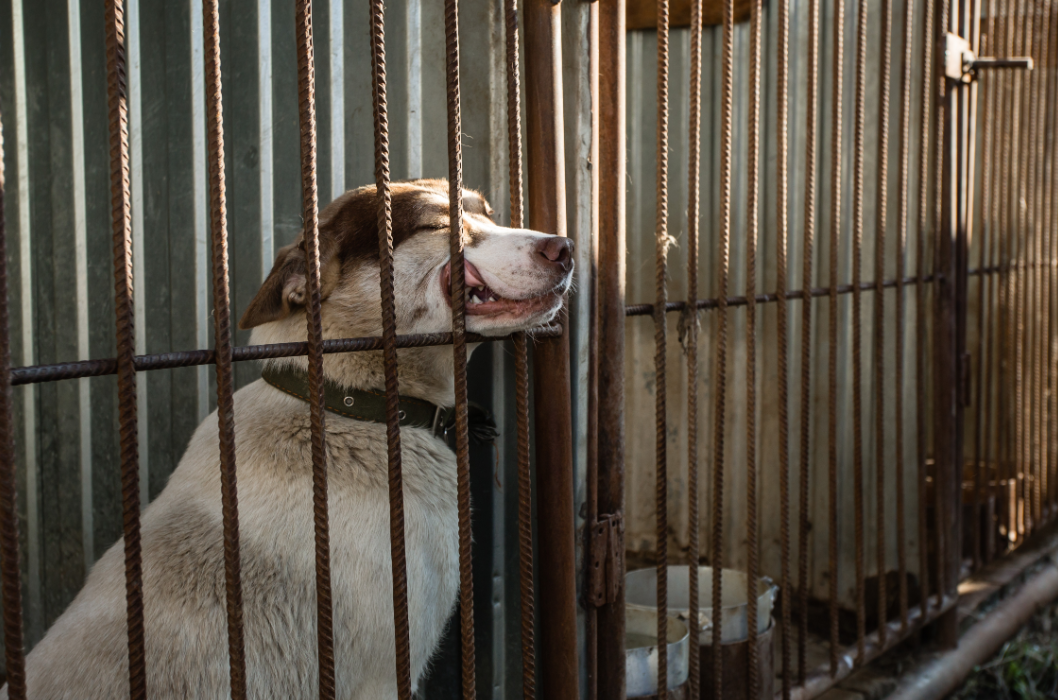 Александр Кулаковский / URA.RU