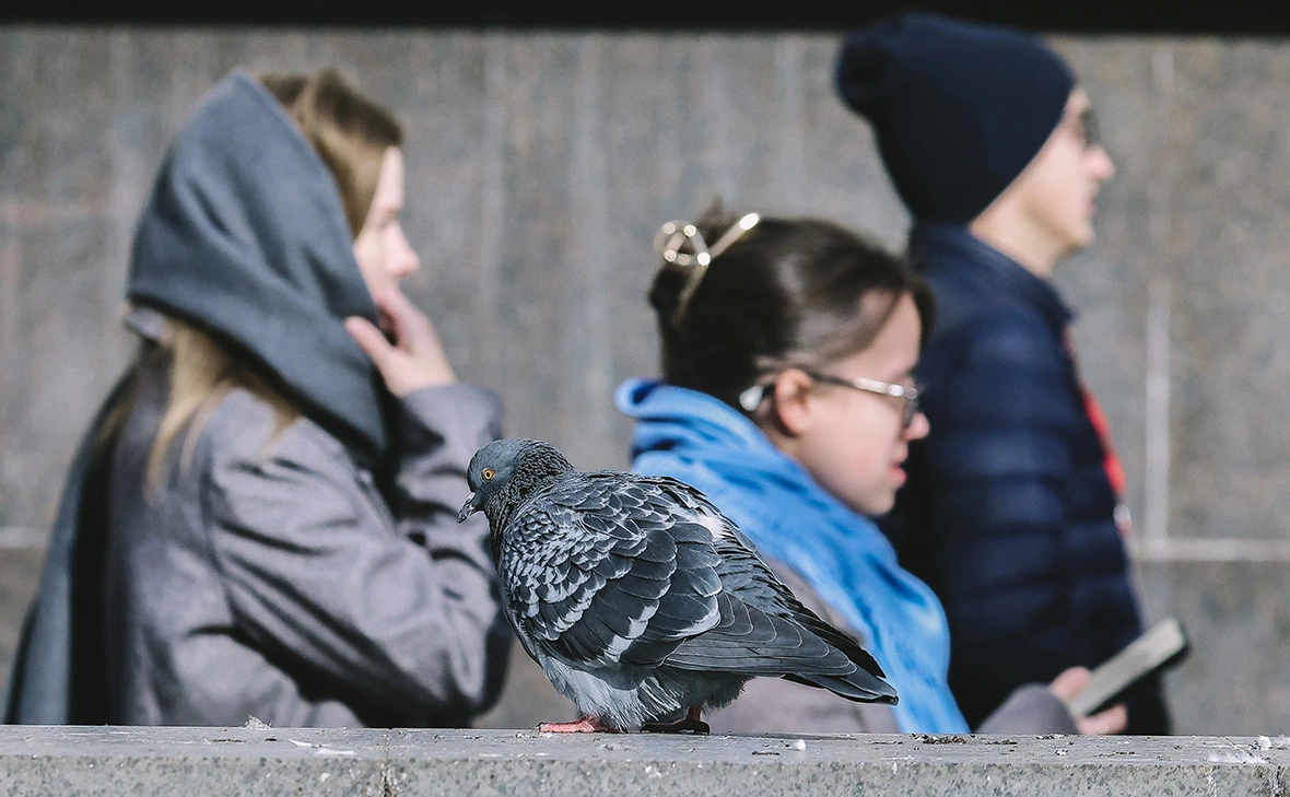 Андрей Любимов / РБК