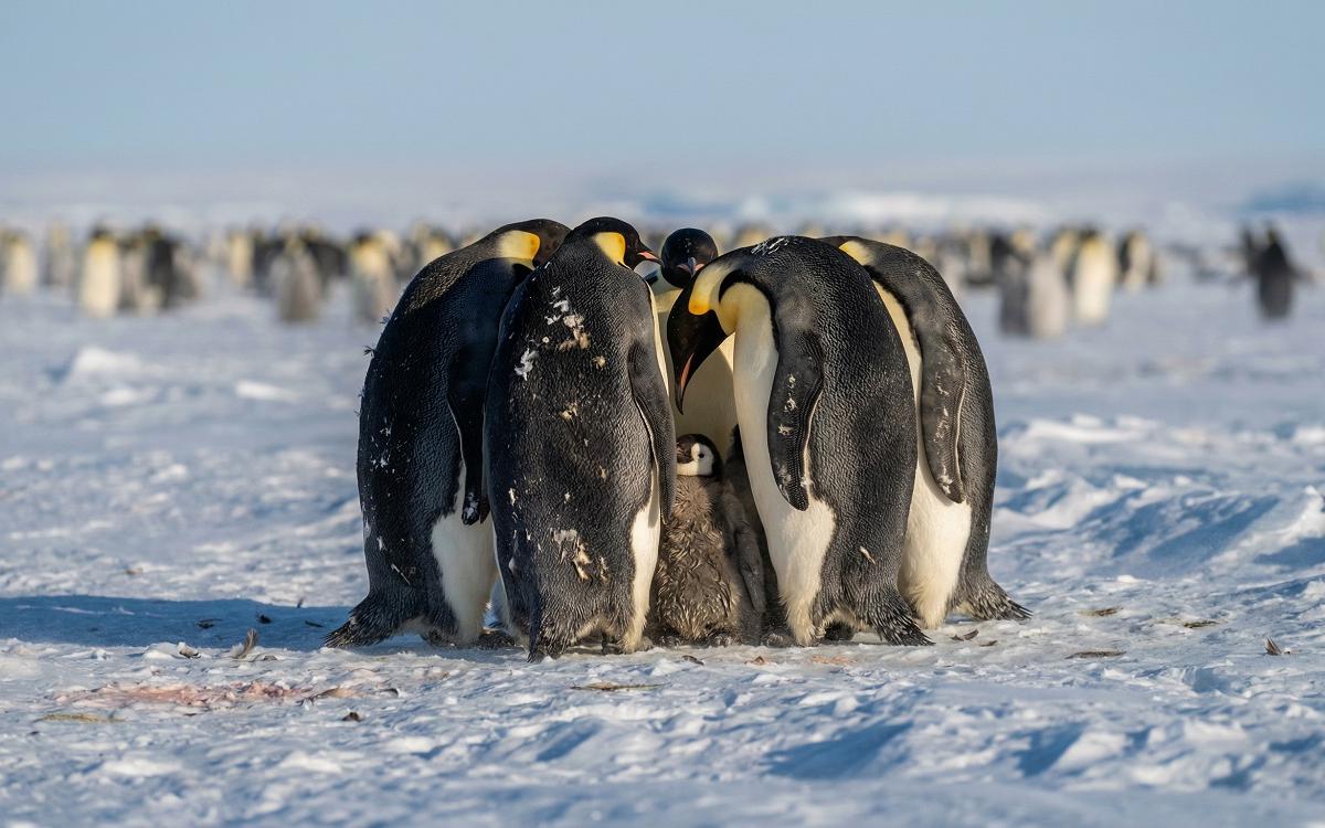 Фото: Shutterstock