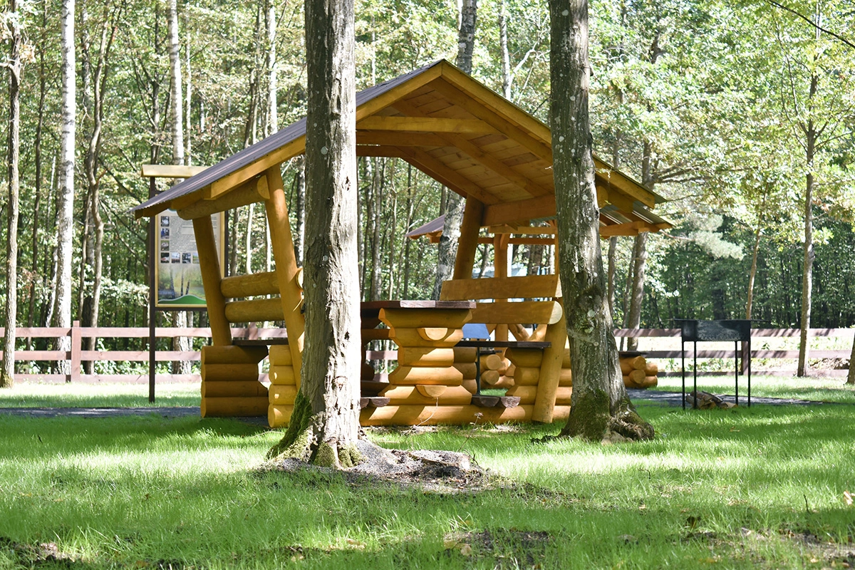 Многие парки Москвы оснащены мангальными зонами