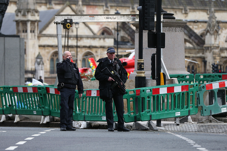 Полиция у здания британского парламента
