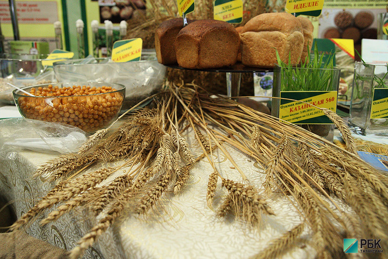 Аграрии Татарстана за год нарастили выручку на 15%