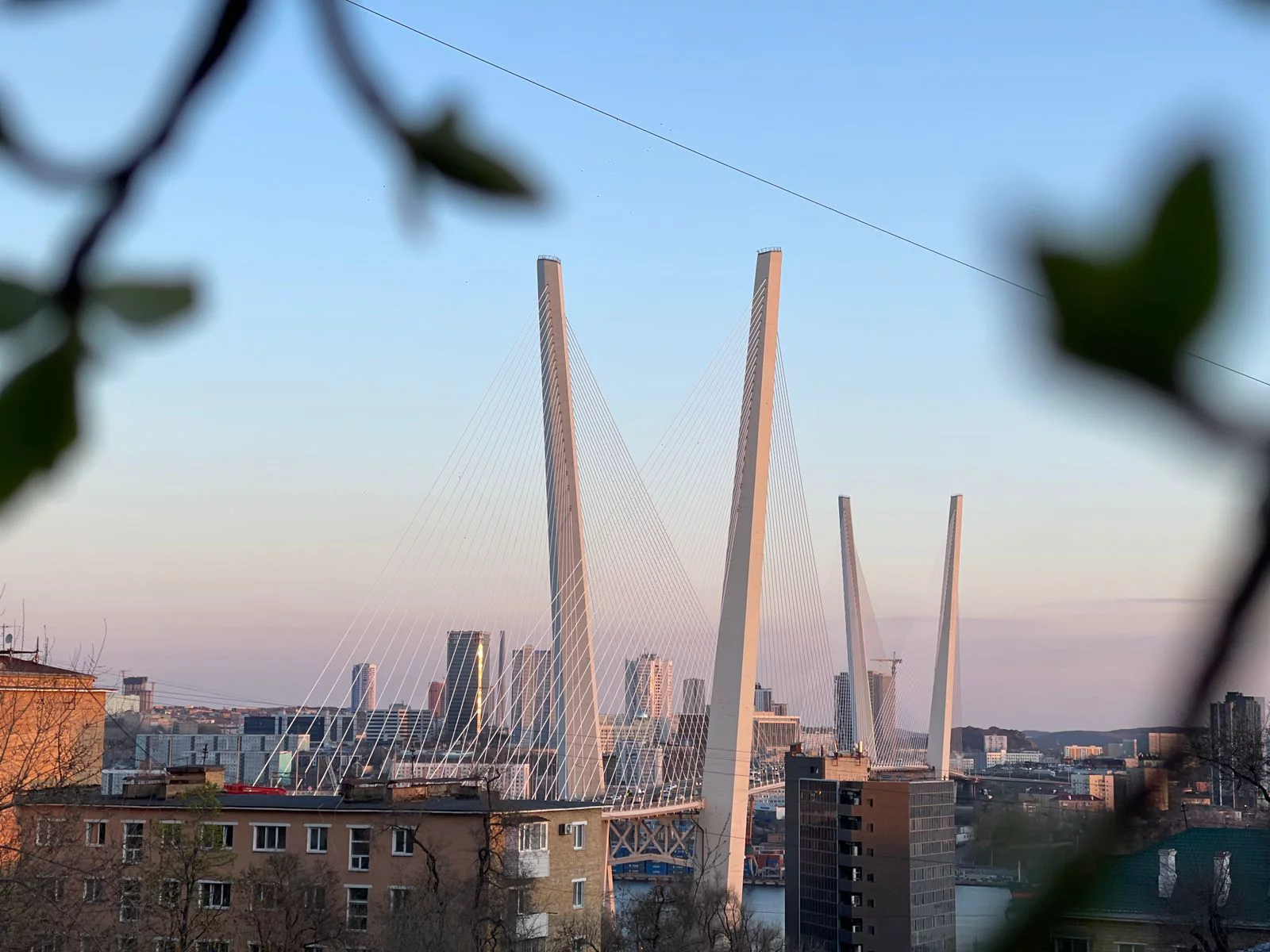 РБК Приморье