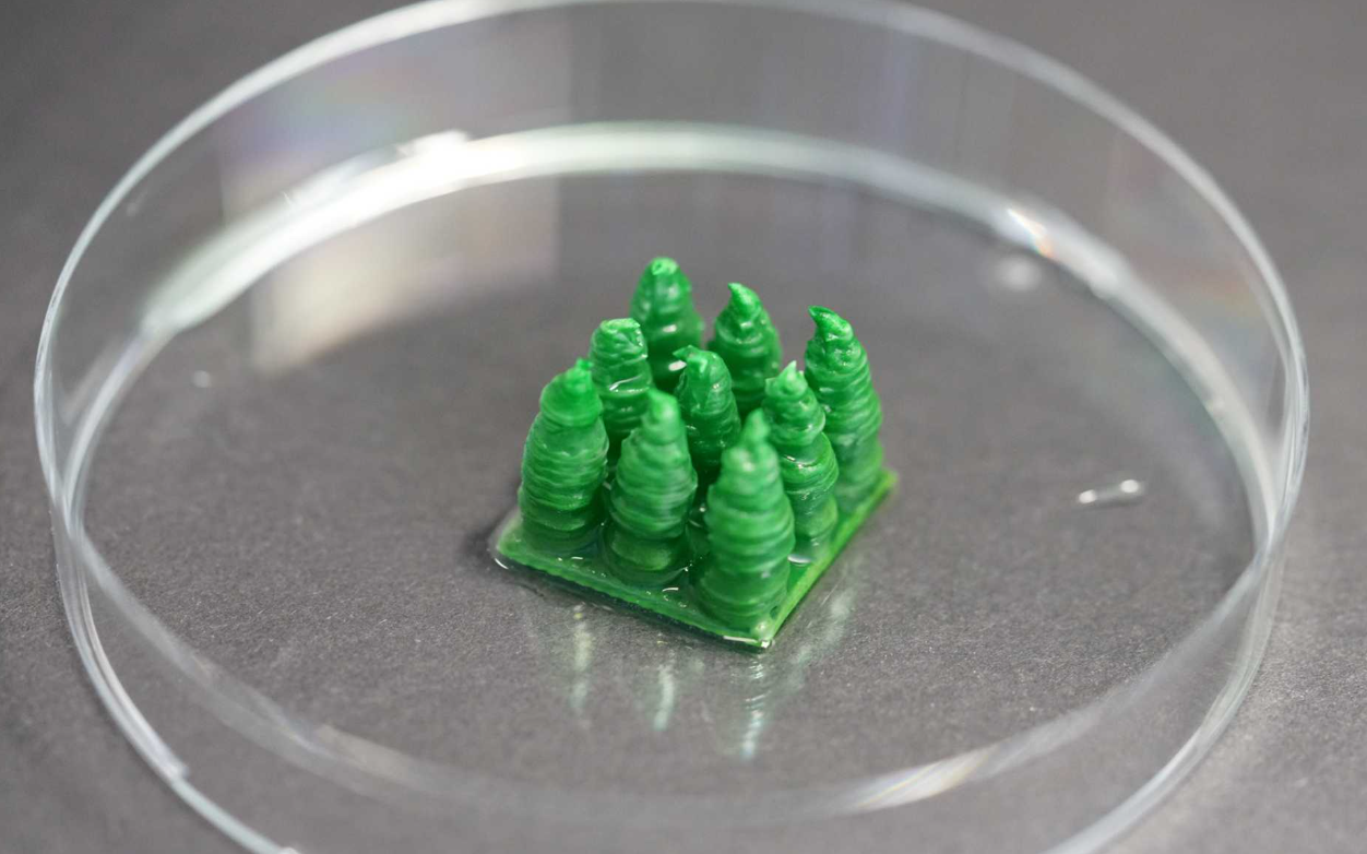 Кораллы из цианобактерий, напечатанные с помощью 3D-принтера