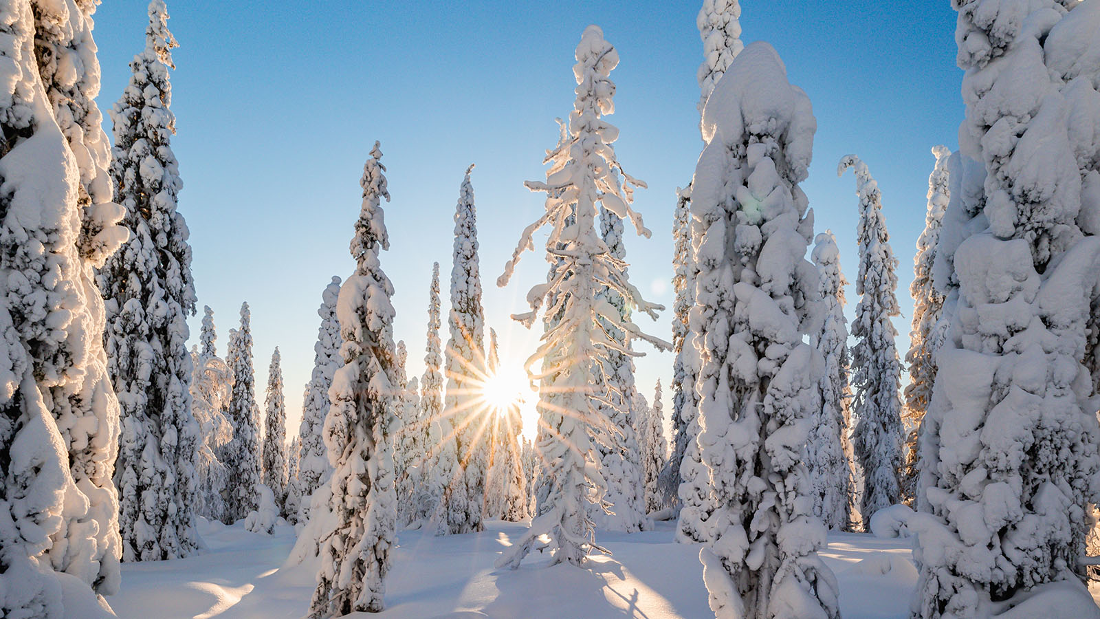 Пословицы и поговорки о зиме