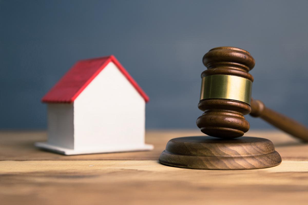 Фото: Daniel Tadevosyan / Shutterstock / FOTODOM