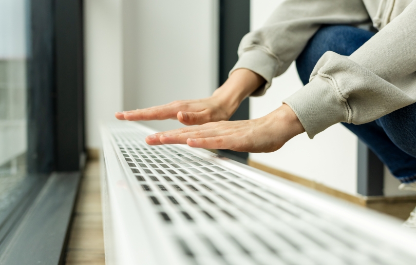 Фото: Shutterstock