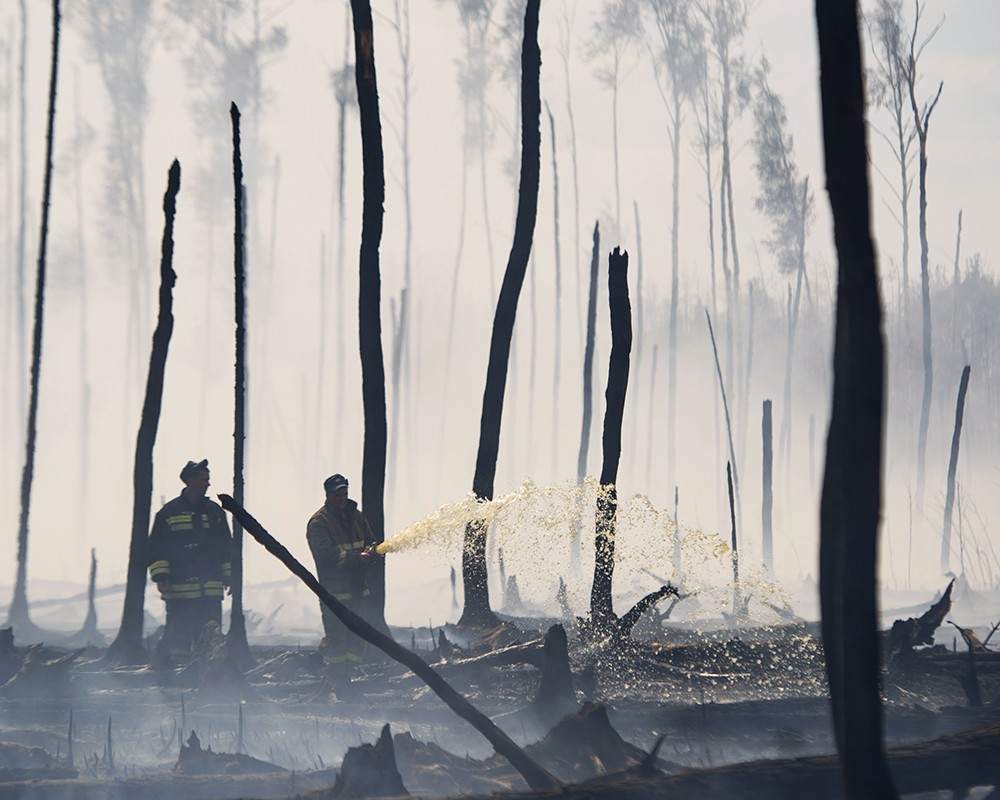 Тушение лесных пожаров в Тверской области 