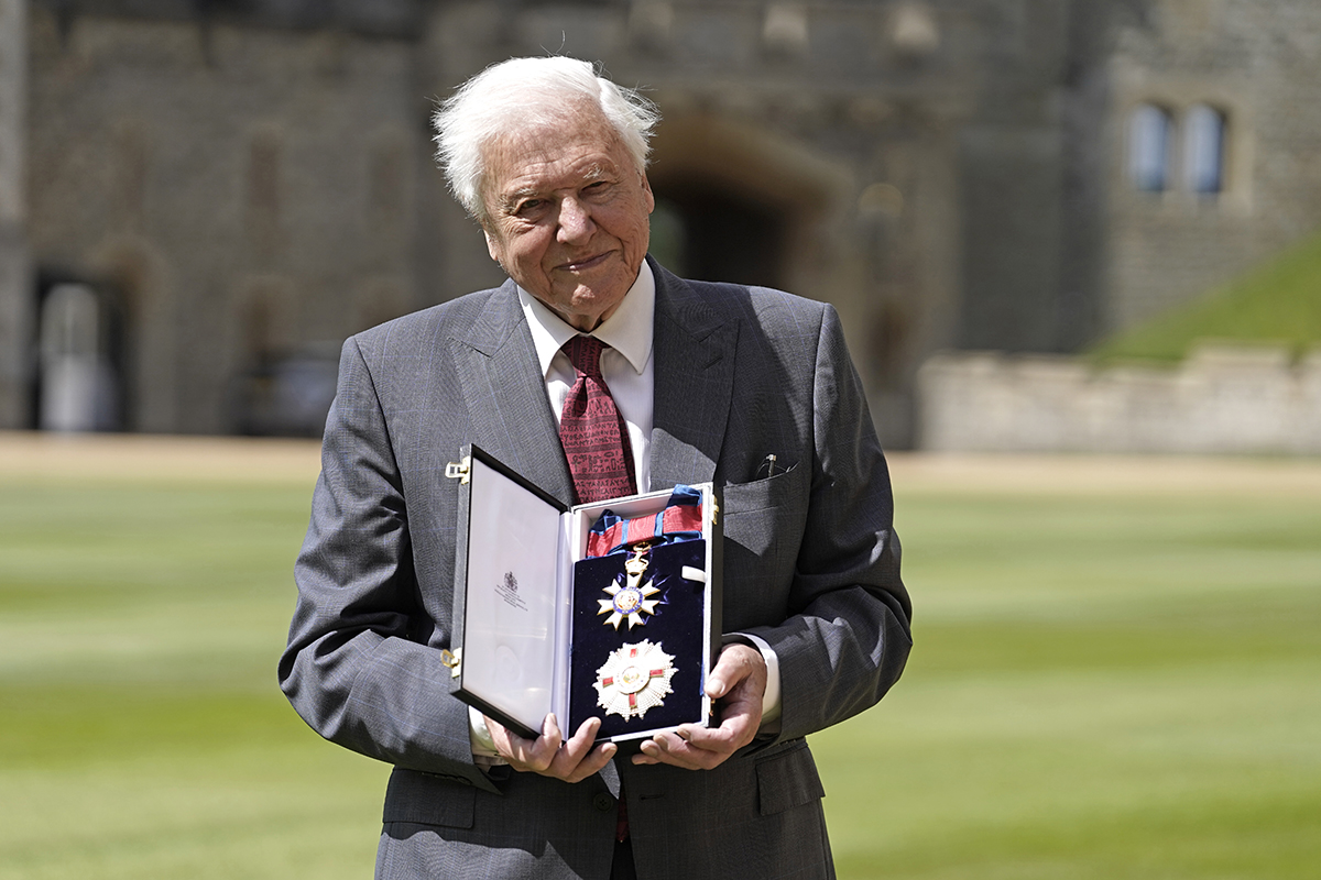 Сэр Дэвид Аттенборо после назначения кавалером Большого креста ордена Святого Михаила и Святого Георгия после церемонии вступления в должность в Виндзорском замке 8 июня 2022 года в Виндзоре, Англия.