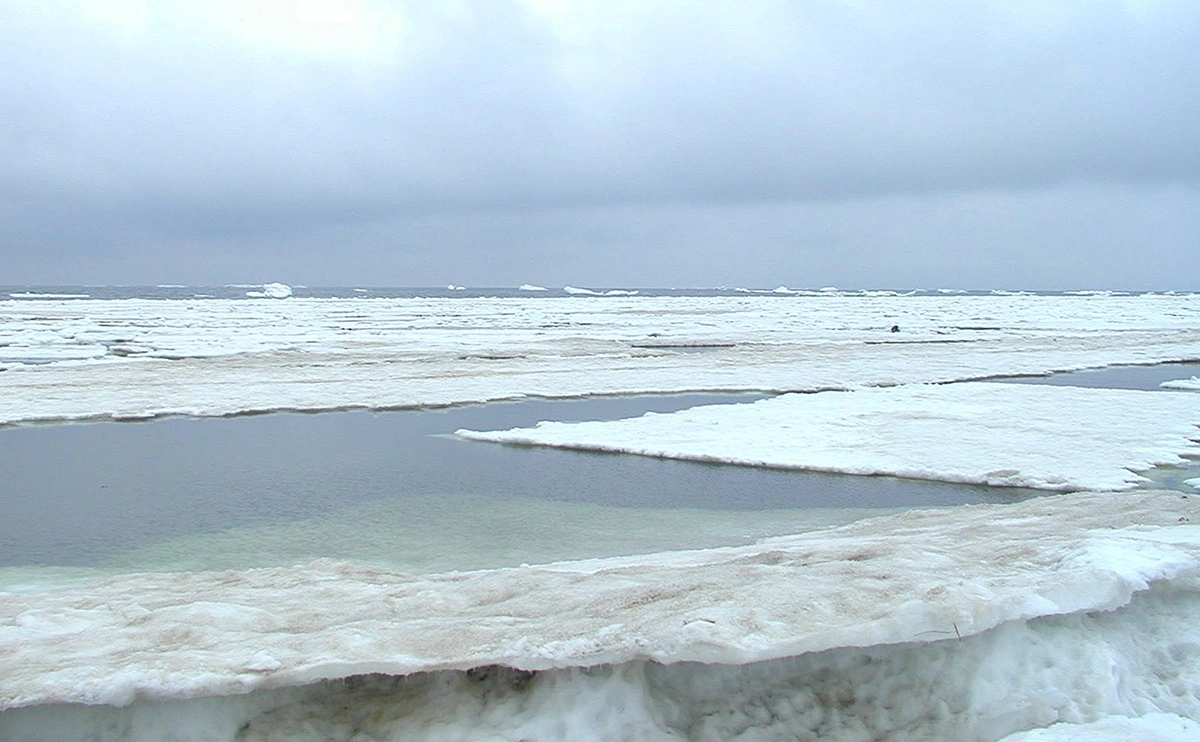 Петр Цырендоржиев / ТАСС