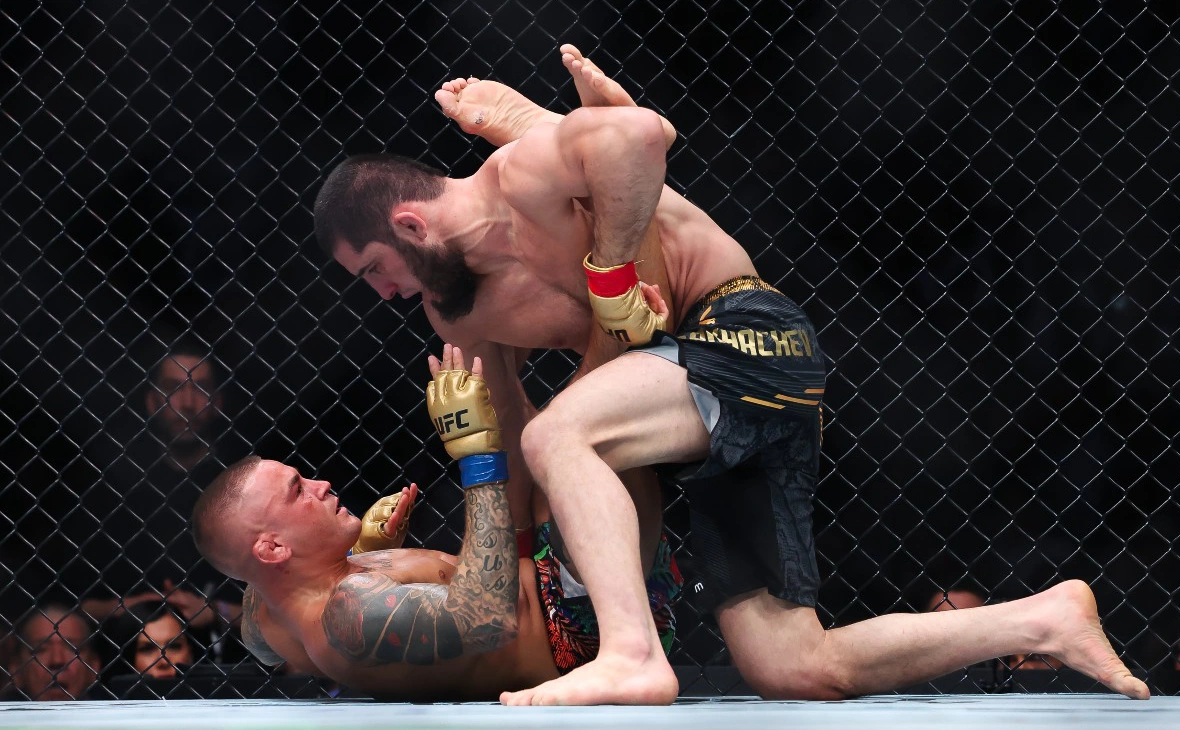 Luke Hales / Getty Images