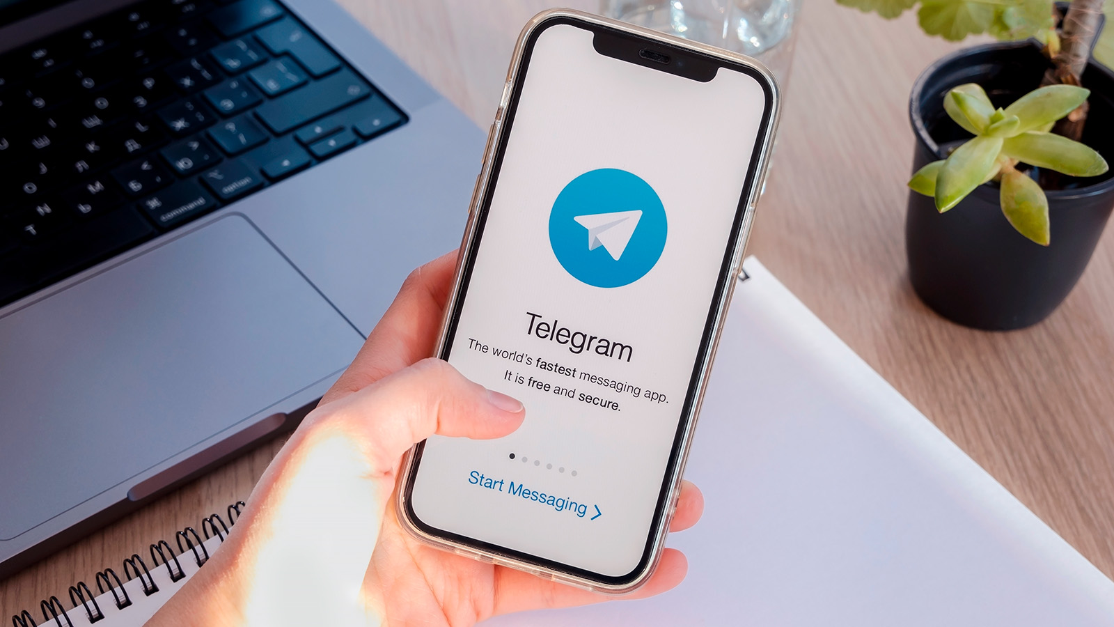 <p>Приложение Telegram на смартфоне</p>