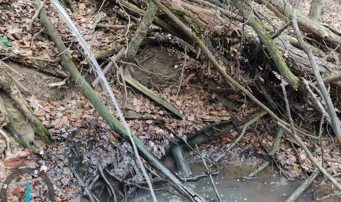 Пресс-служба управления Росприроднадзора по Нижегородской области и Республике Мордовия