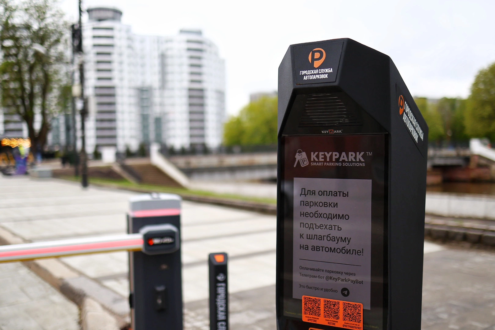 Александр Подгорчук