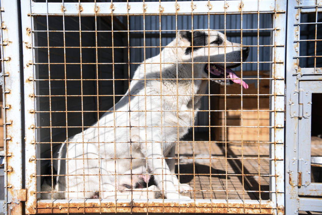 Владимир Жабриков / URA.RU