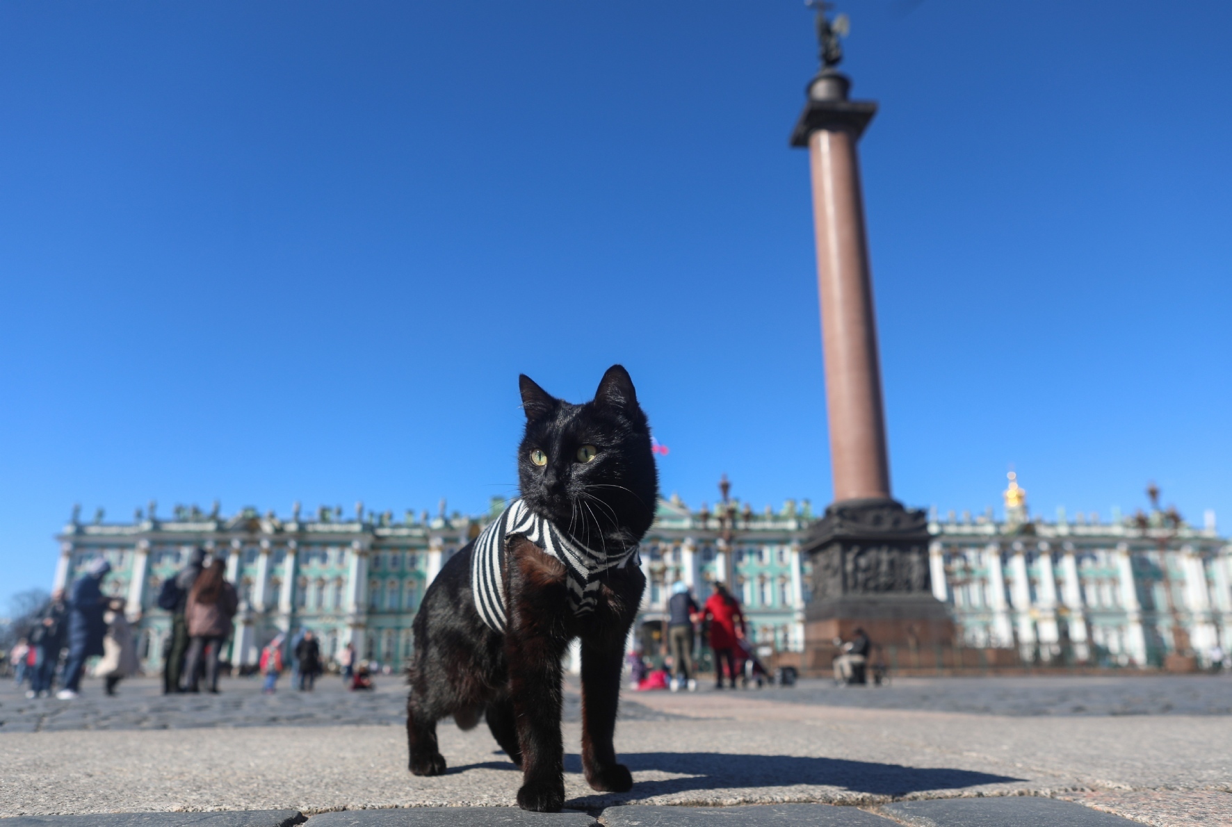 Фото: Пименов Роман / PhotoXPress.ru