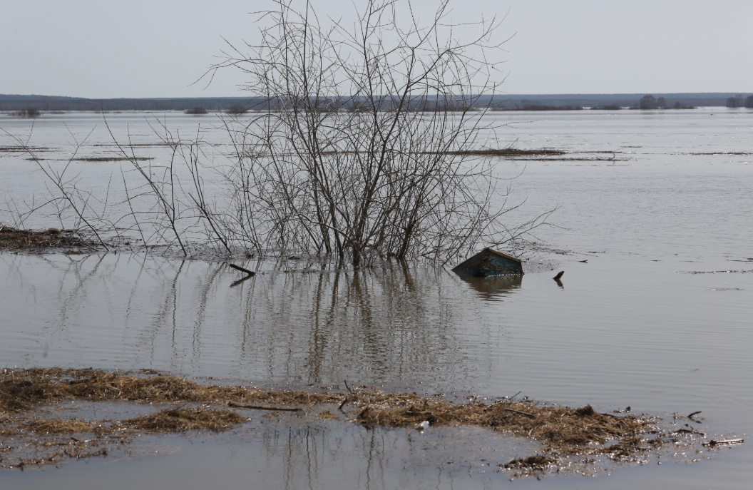 Денис Моргунов / URA.RU