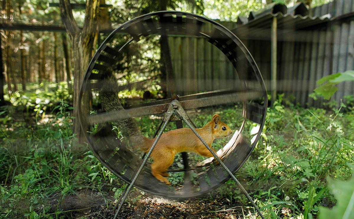 Фото:dima_zhumik / Shutterstock / Fotodom