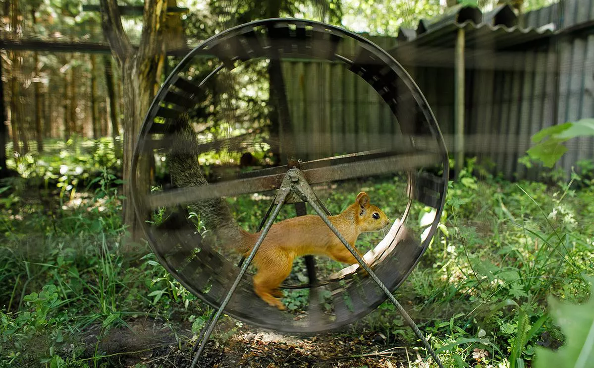 dima_zhumik / Shutterstock / Fotodom