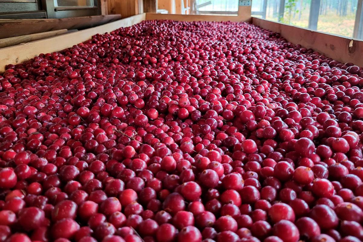 Фото: ИЗ ЛИЧНОГО АРХИВА