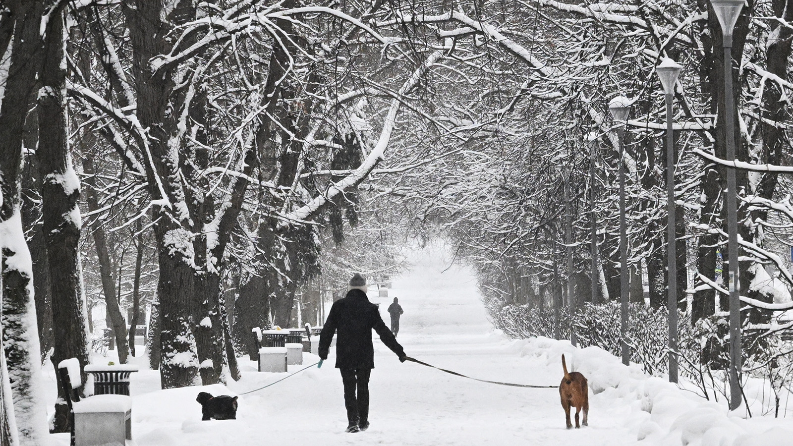 Синоптик допустила выпадение снега в Московском регионе. Когда ждать