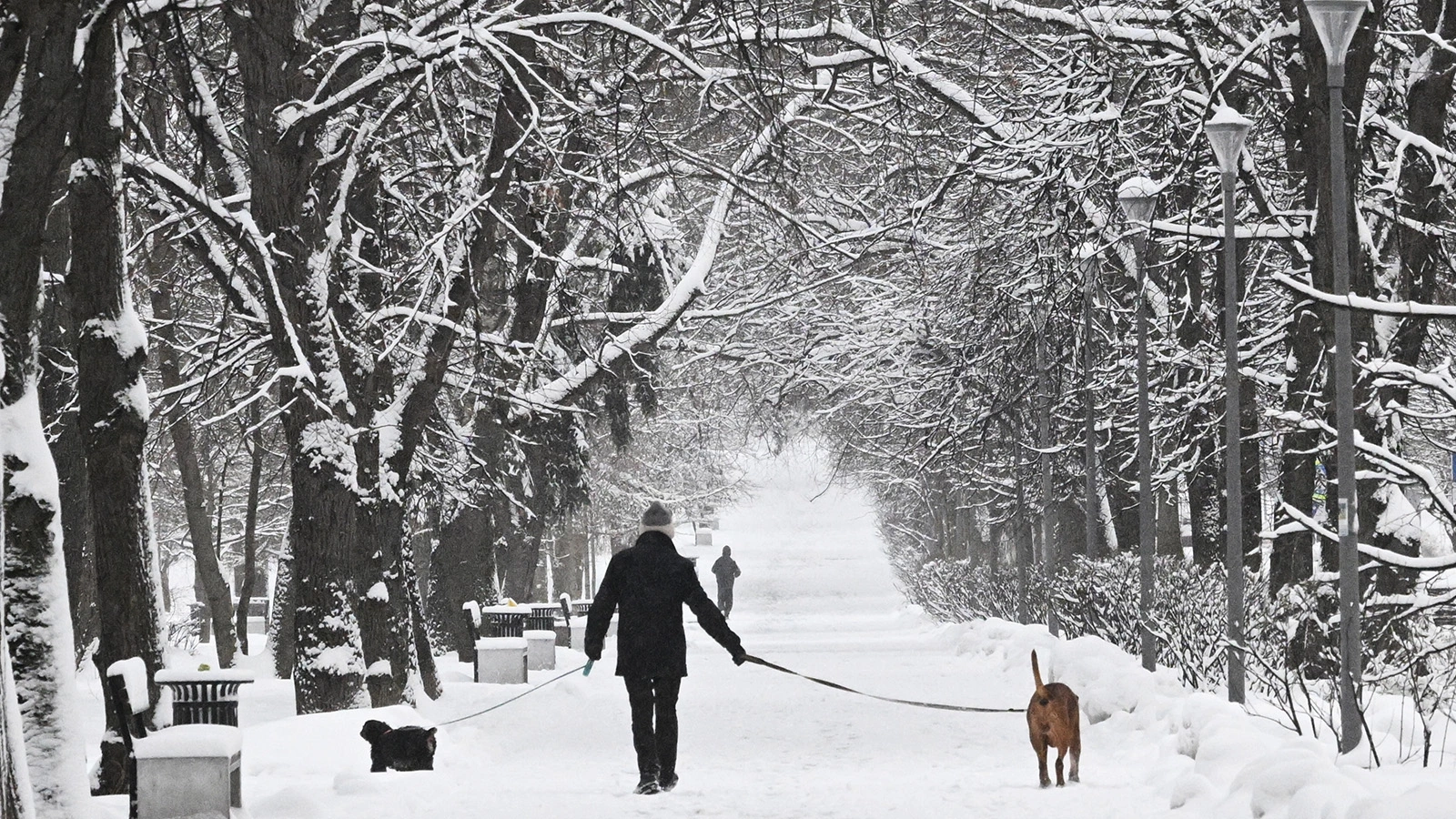 Синоптик допустила выпадение снега в Московском регионе. Когда ждать