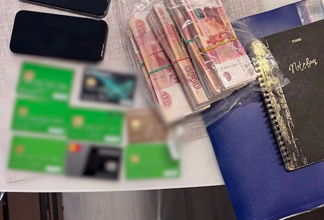 скриншот видео МВД России