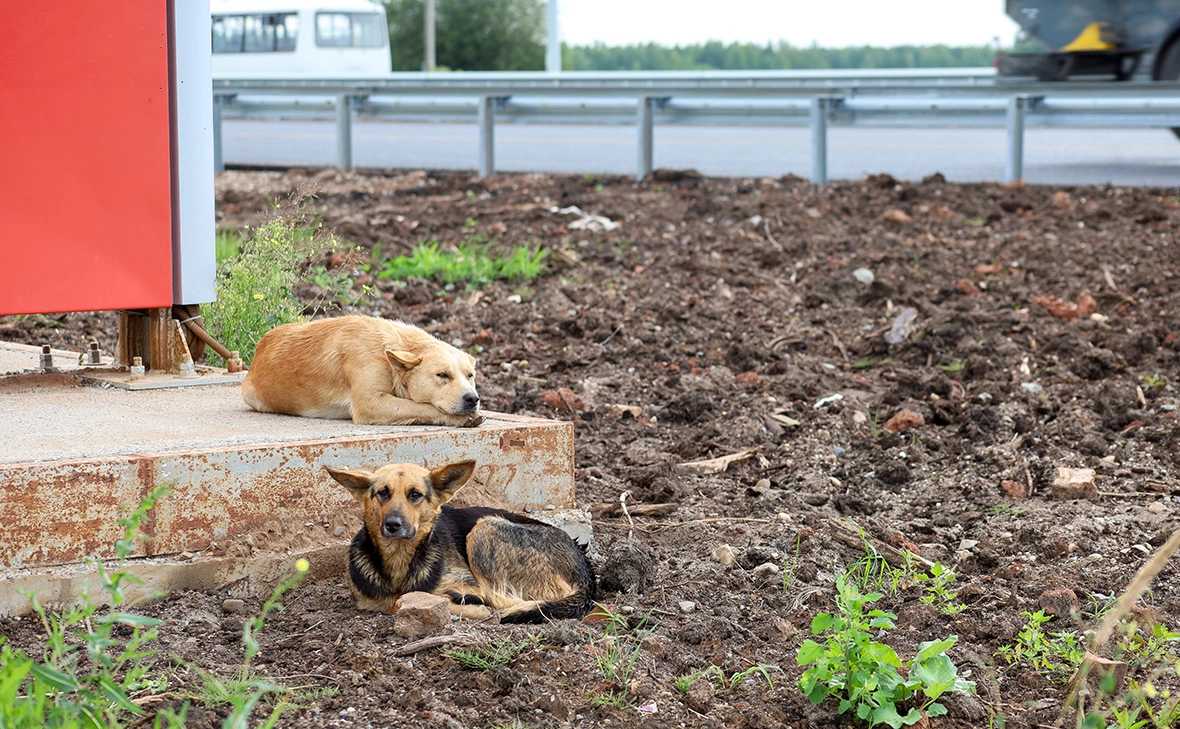 Владимир Гердо / ТАСС