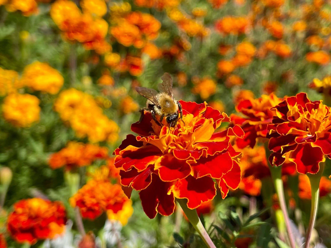 РБК Приморье